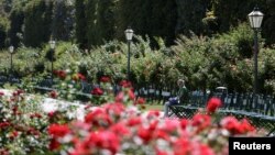 Seorang perempuan duduk di sebuah taman umum di Wina, Austria, 13 Agustus 2018. 