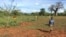 Charity Mwangome walks along the beehive fence she has built at her farm to help protect her crops from elephants, in Taita-Taveta area, Kenya, April 19, 2016. 