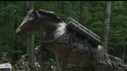 2013-07-25 美國之音視頻新聞: 韓戰的英雄馬雕塑在美國揭幕