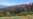 California Drought Pushes Estimate of Dead Trees Past 100 Million
