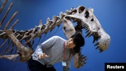Novinar pozira sa replikom skeleta Spinosaurusa tokom priprema i medijskog pregleda za Dinosaur EXPO u Nacionalnom muzeju prirode i nauke u Tokiju.