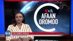 Tamsaasa Guyaadhaa Guyyaa