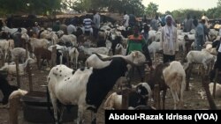 Sur le marché de Niamey, au Niger, le 19 août 2017. (VOA/Abdoul-Razak Idrissa)