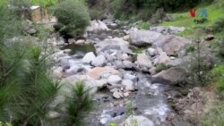 په سوات کې د غره د سېل مینه والو هلې ځلې