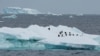 Sea Ice in Antarctica Falls to Record Lows