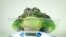An African Bullfrog is placed on a weighing scale during the London Zoo's annual weigh-in in London.