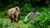 Steven Busulwa, an animal keeper, runs away from a charging rhino at the Uganda Wildlife Conservation Education Center in Wakiso district, in Entebbe.