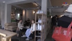 Դանիայում վերաբացվել են սրճարաններն ու ռեստորանները. Կորոնավիրուս