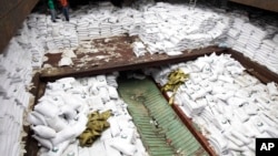 Panamanian workers stand atop sacks of sugar inside a container of a North Korean-flagged ship at the Manzanillo International container terminal on the coast of Colon City, Panama, July 16, 2013.