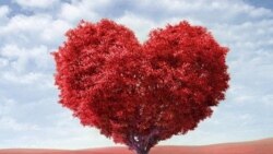 Saint Valentin kera bi Djouma Fevrier 14, 2020. VOA-Alidou Ouedrago.