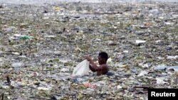 A man collects plastic and other recyclable materials from debris in the waters of Manila Bay after tropical storm Saola hit the Philippine capital, July 30, 2012.