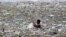 A man collects plastic and other recyclable materials from debris in the waters of Manila Bay after tropical storm Saola hit the Philippine capital, July 30, 2012.