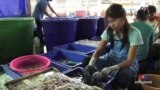 Thailand Seafood Industry Denies Links To Human Trafficking