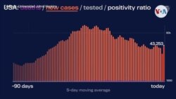 Coronavirus en Estados Unidos