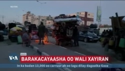 Falastiinyiin laga hor-istaagay guryahooda
