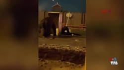 مشهد، میدان جنگ واقعی؛ سنگربندی معترضان برای فرار از گلوله
