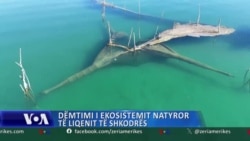 Dëmtimi i ekosistemit natyror të Liqenit të Shkodrës