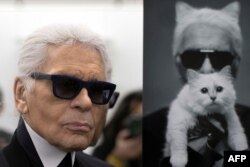 Lagerfeld: Choupette "segalanya dalam hidupku."