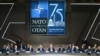 США чи НАТО. Хто координуватиме допомогу союзників Україні?