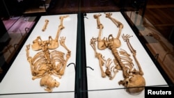 نیشنل میوزیم میں رکھے جانے والے دو بحری قزاقوں میں سے ایک کی موت سر پر چوٹ لگنے کے باعث 11ویں صدی میں انگلینڈ میں ہوئی تھی۔