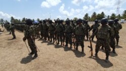 Governos de Moçambique e Malawi "apertam" combate ao terrorismo