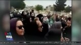 اخبار شامگاهی