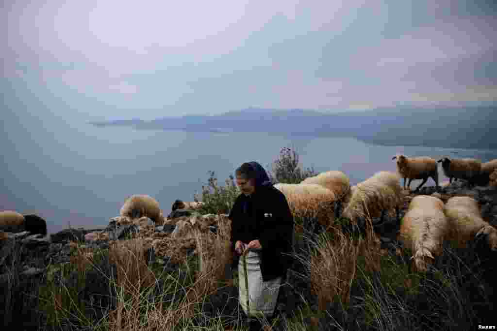 تصویری از زن چوپان به همراه گوسفندانش بر روی صخره ای در یونان 