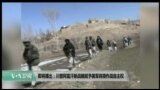 美国观察 2017年8月24日