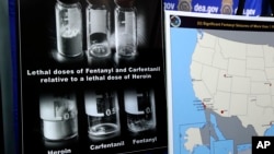FILE - Posters comparing lethal amounts of heroin, fentanyl, and carfentanil, are on display during a news conference at DEA Headquarters in Arlington Va., June 6, 2017.