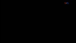 اخبار شامگاهی