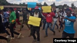 FILE: Some opposition youth members staging peaceful protest in Harare. (Photo: MDC Youth Assembly)