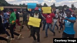 Some of the MDC activists who staged a protest of food shortages in Harare on Wednesday. (Courtesy Image, MDC Youth Assembly)