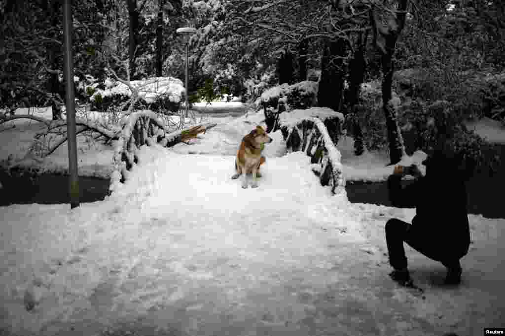 A man takes a picture of his dog at Florida park in the Spanish Basque town of Vitoria following heavy snow.
