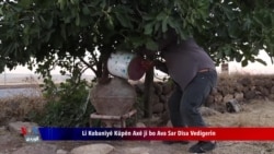 Li Kobanîyê Çêkirina Kûpên Axîn Dîsa Vedigere
