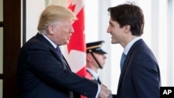 Le président Donald Trump accueille le Premier ministre canadien Justin Trudeau à la Maison Blanche, le 13 février 2017.