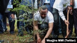 Muumee Ministiraa Itoophiyaa, Dr. Abiyyi Ahimad biqiltuu yeroo dhaaban, Adoolessa 27, 2019, Walayitaa Soddoo