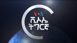 ፈነወ ድምጺ ኣመሪካ ቋንቋ ትግርኛ ጥሪ 14,2022