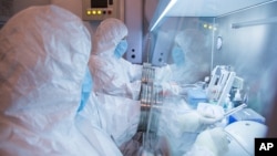 这张西伯利亚和远东伊尔库茨克抗鼠疫研究所(Irkutsk Anti-Plague Research Institute)发布的未注明日期照片显示，该研究所的工作人员正在实验室工作。
