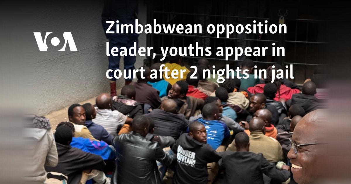 Zimbabwean Opposition Leader Youths Appear In Court After 2 Nights In Jail