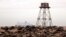 Grey seals rest on a sandbank close to Walde lighthouse in Marck near Calais, France, Feb. 4, 2021. 