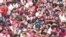 Thousands Celebrate Holi in India With Sweets Despite Coronavirus Surge 
