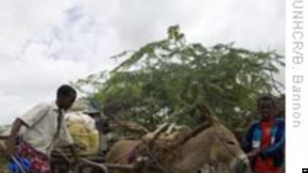 Hundreds of Thousands of Somali Refugees in Kenya Threatened by Floods