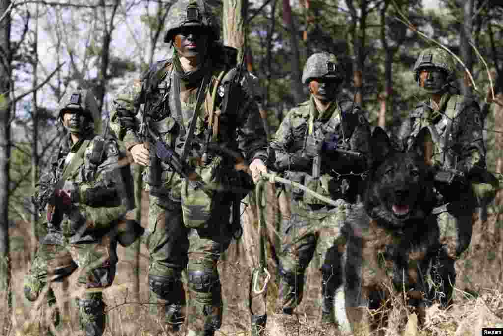 South Korean soldiers participate in a search operation during their military drill in Daejeon, south of Seoul, April 16, 2013. 
