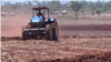 FAO: Otomatisasi Pertanian Dorong Produksi Pangan Lebih Efisien