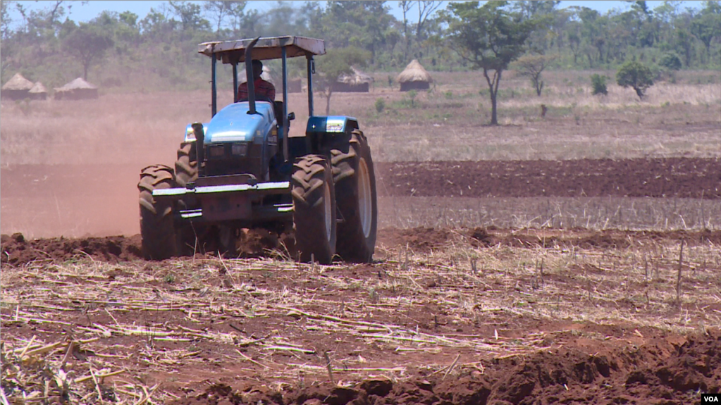 A tractor tills land at Magutu farm in Mazowe district, about 40 km (25 miles) north of Zimbabwe's capital Harare, Nov. 12, 2018, ahead of the rainy season, expected any time now. (C. Mavhunga/VOA)