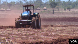 A tractor tills land at Magutu farm in Mazowe district, about 40 km (25 miles) north of Zimbabwe's capital Harare, Nov. 12, 2018, ahead of the rainy season, expected any time now. (C. Mavhunga/VOA)