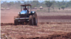 Zimbabwe Farmers Call for Help to Mitigate Drought Effects