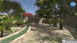 Bobilning osma bog'larini ko'rishni istaysizmi?