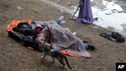 A cat passes by sleeping protesters at the Gezi Park of the Taksim Square in Istanbul early Saturday, June 15, 2013.