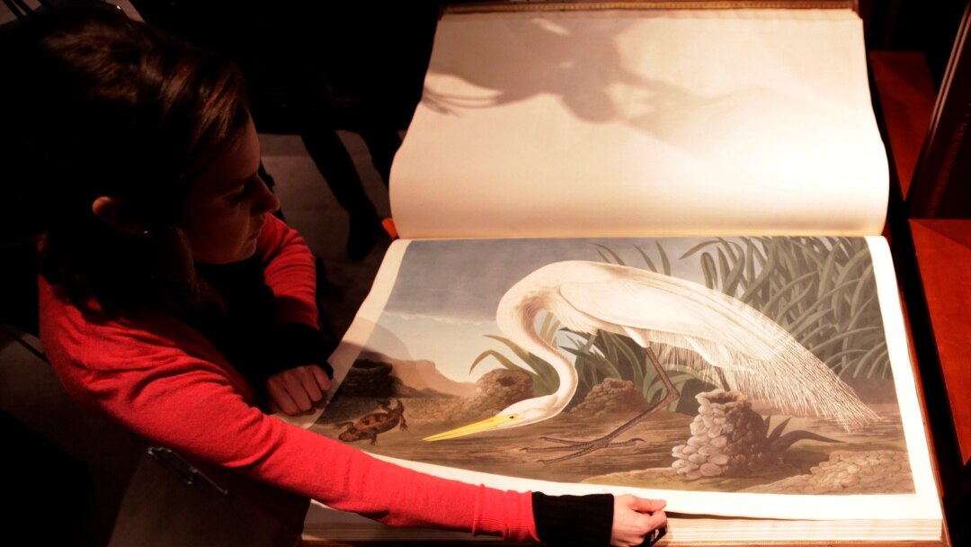 A Rare Copy of Audubon's 'Birds of America' Heads to Auction to